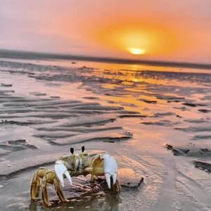 Meet your Posher, Marybeth